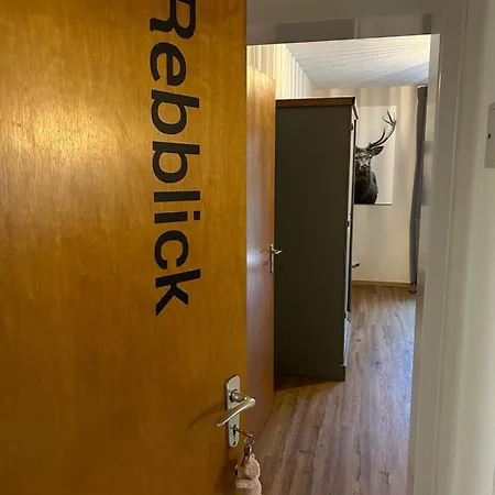 Ferienwohnung Rebblick Mullheim  Buitenkant foto